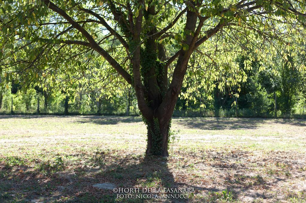 Horti Della Fasanara Casa de hóspedes Ferrara Exterior foto