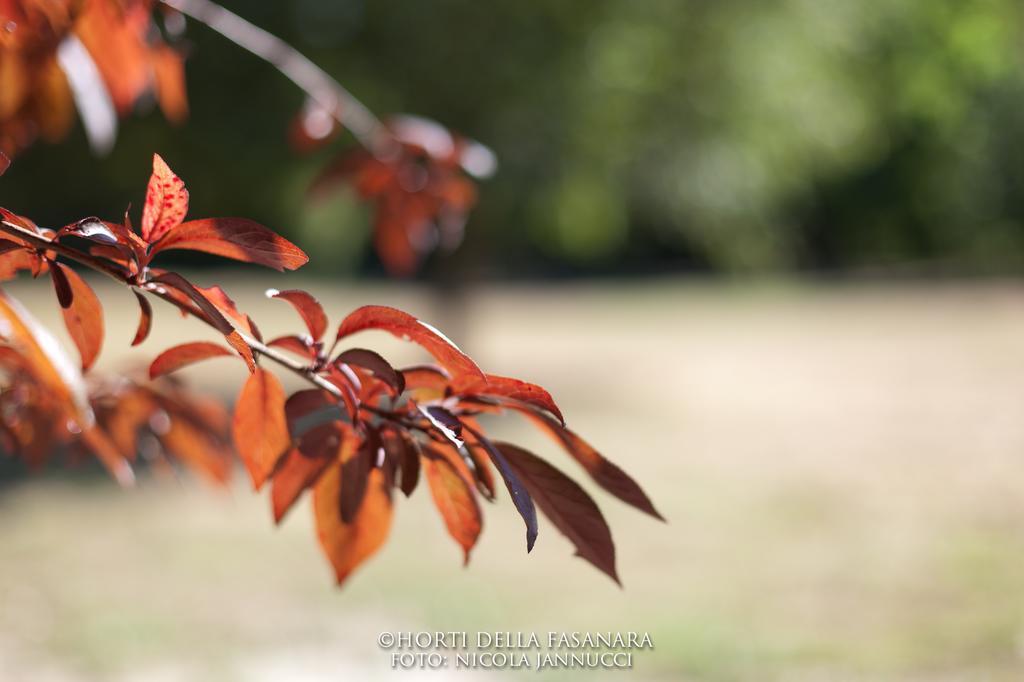 Horti Della Fasanara Casa de hóspedes Ferrara Exterior foto